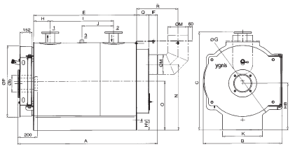 габаритные размеры промышленного котла Ygnis